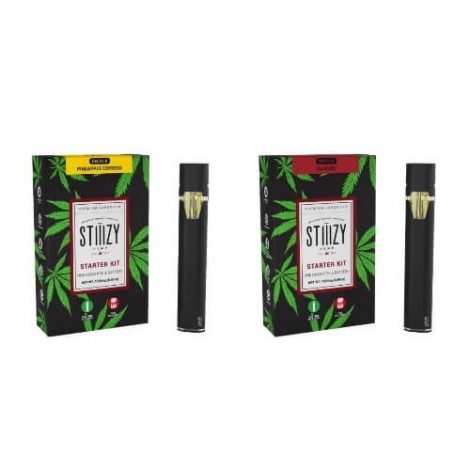 Stiiizy Delta-8 1G Vape Pod Starter Kit